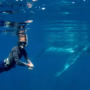 Explore 7 Day Perth to Exmouth Explorer & Ningaloo Reef Return - from Perth for 7 days with Autopia Tours and discover unforgettable experiences - Photo 8