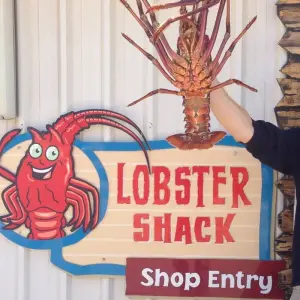 Explore Pinnacles Lobster Yanchep Day Tour Experience for 1 days with Autopia Tours and discover unforgettable experiences - Photo 11
