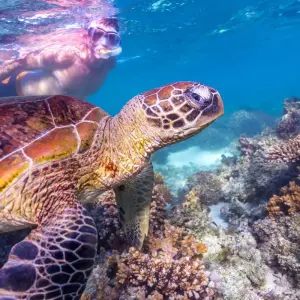 Explore 7 Day Perth to Exmouth Explorer & Ningaloo Reef Return - from Perth for 7 days with Autopia Tours and discover unforgettable experiences - Photo 11
