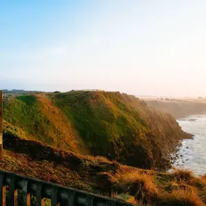 Explore Phillip Island Penguins & Koalas Tour for 1 days with Autopia Tours and discover unforgettable experiences - Photo 10