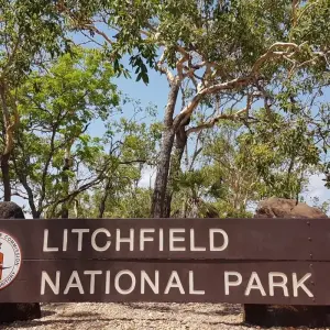 Explore Litchfield National Park & Wildlife Experience for 1 days with Autopia Tours and discover unforgettable experiences - Photo 8