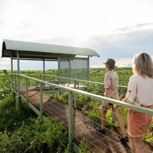 Explore Litchfield National Park & Wildlife Experience for 1 days with Autopia Tours and discover unforgettable experiences - Photo 9