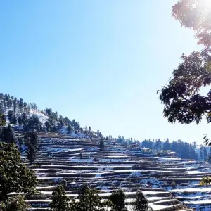 Explore Private 6 Day Shimla & Manali tour by car for 6 days with Avtar India Tours and discover unforgettable experiences - Photo 2