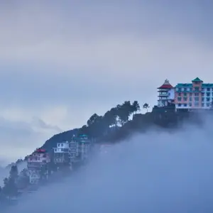 Explore Private 6 Day Shimla & Manali tour by car for 6 days with Avtar India Tours and discover unforgettable experiences - Photo 4