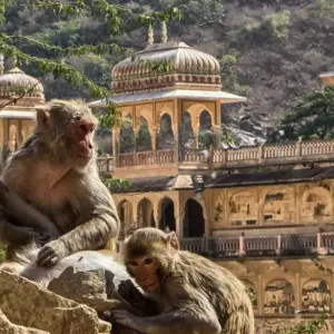 Explore 6 Day Private Women Special tour by car (Golden Triangle) for 6 days with Avtar India Tours and discover unforgettable experiences - Photo 4