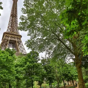 Explore Paris to Normandy 2025 for 8 days with Avalon Waterways and discover unforgettable experiences - Photo 6