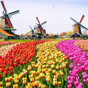 Explore Rhine & Rhône Revealed with 2 Nights in French Riviera (Southbound) 2026 for 17 days with Avalon Waterways and discover unforgettable experiences - Photo 10