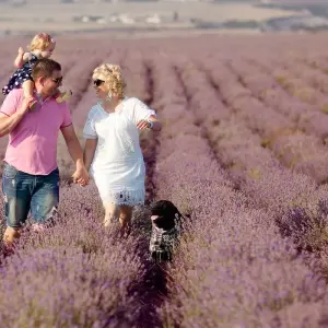 Explore Burgundy & Provence (Northbound) 2025 for 8 days with Avalon Waterways and discover unforgettable experiences - Photo 8