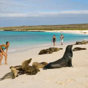 Explore Island Hopping 8 Days 7 Nights for 8 days with BM Tours and discover unforgettable experiences - Photo 7