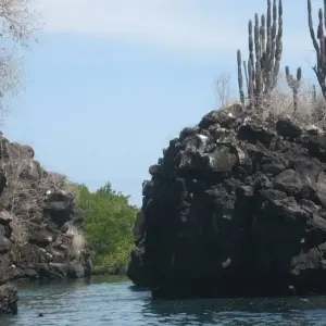 Explore Galápagos Full Experience 4D-3N! for 4 days with BM Tours and discover unforgettable experiences - Photo 3