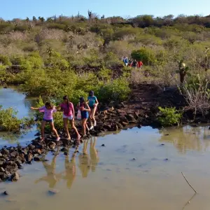 Explore Galápagos Full Experience 4D-3N! for 4 days with BM Tours and discover unforgettable experiences - Photo 4