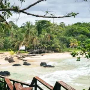 Explore Panama and Bocas del Toro: From the Canal to Caribbean Islands for 7 days with BM Tours and discover unforgettable experiences - Photo 7
