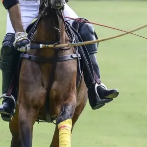 Explore London & Cowdray Polo Golf Club | England for 6 days with BTOURS and discover unforgettable experiences - Photo 8