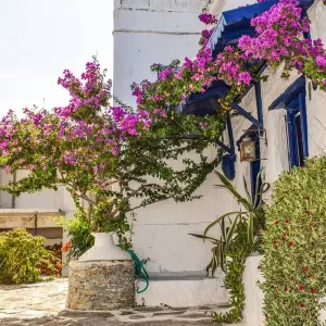 Explore Sporades Island Hopping | Skiathos - Skopelos - Alonissos | Greece | 10 Days for 10 days with BTOURS and discover unforgettable experiences - Photo 10