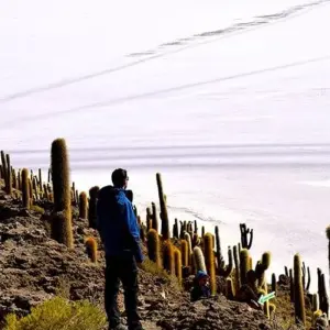 Explore Uyuni Salt Flats & Desert Adventure 4D/3N (Atacama to La Paz) for 4 days with Bamba Travel and discover unforgettable experiences - Photo 5