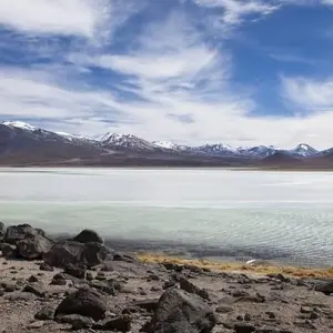 Explore Uyuni Salt Flats & Desert Adventure 4D/3N (La Paz to Atacama) for 4 days with Bamba Travel and discover unforgettable experiences - Photo 6