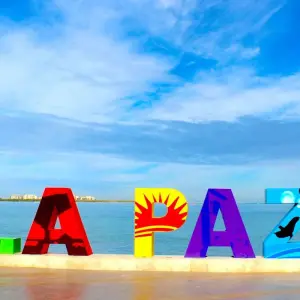 Explore Baja's Artistic Tapestry & La Paz Seascapes 5D/4N for 5 days with Bamba Travel and discover unforgettable experiences - Photo 3