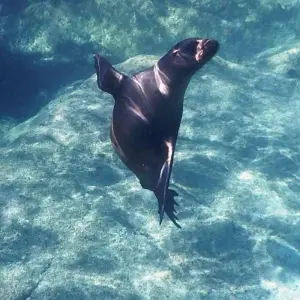 Explore Baja's Artistic Tapestry & La Paz Seascapes 5D/4N for 5 days with Bamba Travel and discover unforgettable experiences - Photo 5