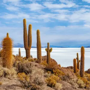 Explore Uyuni Salt Flats & Desert Adventure 4D/3N (Atacama to La Paz) for 4 days with Bamba Travel and discover unforgettable experiences - Photo 9