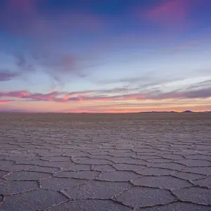 Explore Uyuni Salt Flats & Desert Adventure 4D/3N (Atacama to La Paz) for 4 days with Bamba Travel and discover unforgettable experiences - Photo 10