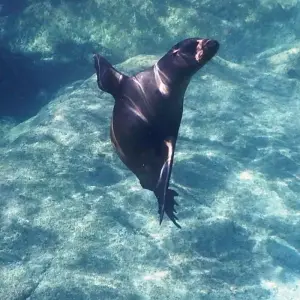 Explore Baja's Beach Serenity & La Paz Cultural Voyage 4D/3N for 4 days with Bamba Travel and discover unforgettable experiences - Photo 9