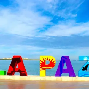 Explore Baja Beach Bliss & Cultural Insights: La Paz & Cabo 6D/5N for 6 days with Bamba Travel and discover unforgettable experiences - Photo 11