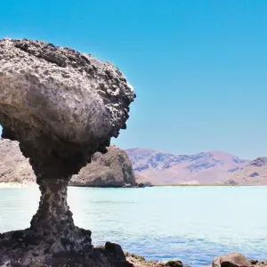Explore Baja's Beach Serenity & La Paz Cultural Voyage 4D/3N for 4 days with Bamba Travel and discover unforgettable experiences - Photo 11