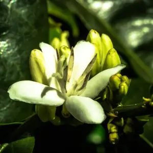 Explore Discover the Unseen Panama 13D/12N for 13 days with Bamba Travel and discover unforgettable experiences - Photo 4