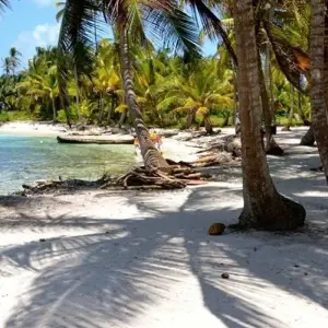 Explore San Blas Yanis Island Budget Experience 3D/2N for 3 days with Bamba Travel and discover unforgettable experiences - Photo 5