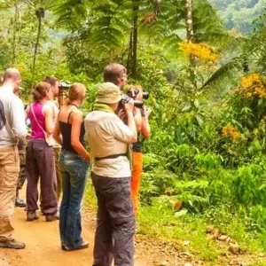 Explore Manu Amazon Adventure 5D/4N for 5 days with Bamba Travel and discover unforgettable experiences - Photo 10