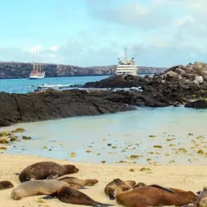 Explore Galapagos Island Hopping Adventure 5D/4N for 5 days with Bamba Travel and discover unforgettable experiences - Photo 6