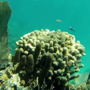 Explore Cancun to Mexico City (via Belize & Guatemala) Travel Pass for 31 days with Bamba Travel and discover unforgettable experiences - Photo 8