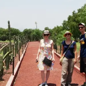 Explore Mexico Highlights (from Mexico City) Travel Pass for 17 days with Bamba Travel and discover unforgettable experiences - Photo 11