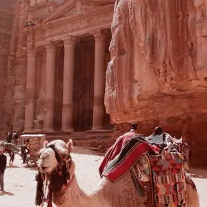 Explore Petra & Wadi Rum Experience 3D/2N (from Jerusalem) for 3 days with Bamba Travel and discover unforgettable experiences - Photo 11