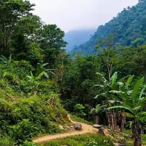 Explore Tayrona Beaches & Lost City Trek 8D/7N for 8 days with Bamba Travel and discover unforgettable experiences - Photo 2
