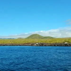 Explore Galapagos Island Hopping Diving Full Experience 8D/7N for 8 days with Bamba Travel and discover unforgettable experiences - Photo 3