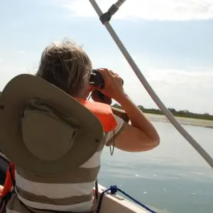 Explore Birding in Tavira and Ria Formosa, 5 days for 5 days with Be Cool and discover unforgettable experiences - Photo 2