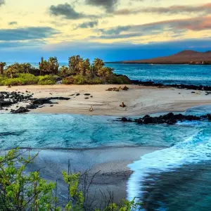 Explore Galapagos Island Hopping Diving Full Experience 8D/7N for 8 days with Bamba Travel and discover unforgettable experiences - Photo 10