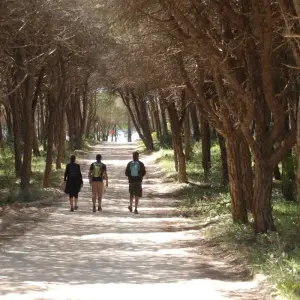 Explore Rambling in The West Algarve for 8 days with Be Cool and discover unforgettable experiences - Photo 2