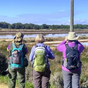 Explore Your Nemesis Bird Destination, 8 days in Cabanas for 8 days with Be Cool and discover unforgettable experiences - Photo 5