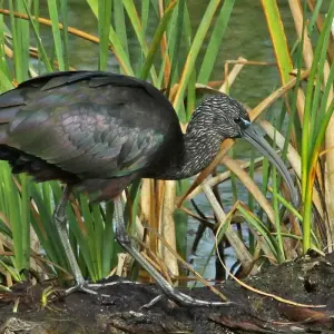 Explore The Great Bustard Adventure for 8 days with Be Cool and discover unforgettable experiences - Photo 3