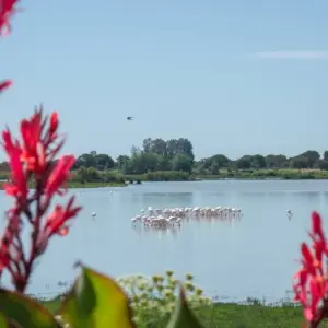Explore Cycle The East Algarve & South of Spain for 8 days with Be Cool and discover unforgettable experiences - Photo 5