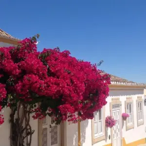 Explore Escape to Tavira - Sun & Beach 4 Days Pack for 4 days with Be Cool and discover unforgettable experiences - Photo 7