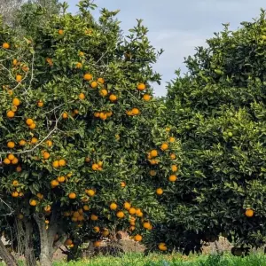 Explore Rambling in The West Algarve for 8 days with Be Cool and discover unforgettable experiences - Photo 8