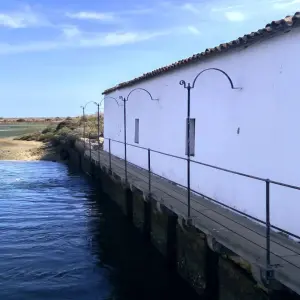 Explore Birding in Tavira and Ria Formosa, 8 days for 8 days with Be Cool and discover unforgettable experiences - Photo 11