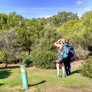 Explore Birding in Tavira and Ria Formosa, 5 days for 5 days with Be Cool and discover unforgettable experiences - Photo 11