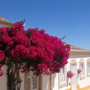 Explore Relax in Tavira, Sun & Beach 8 Days Pack for 8 days with Be Cool and discover unforgettable experiences - Photo 9