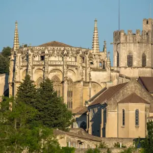 Explore River cruise-Bijou Du Rhône-Southern France for 8 days with Bavaria Fernreisen and discover unforgettable experiences - Photo 4
