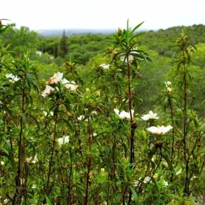 Explore Cycle The East Algarve & South of Spain for 8 days with Be Cool and discover unforgettable experiences - Photo 9
