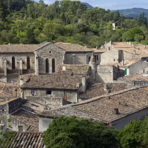 Explore River cruise-Bijou Du Rhône-Southern France for 8 days with Bavaria Fernreisen and discover unforgettable experiences - Photo 5